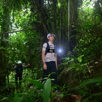 Runner Photo 8765838