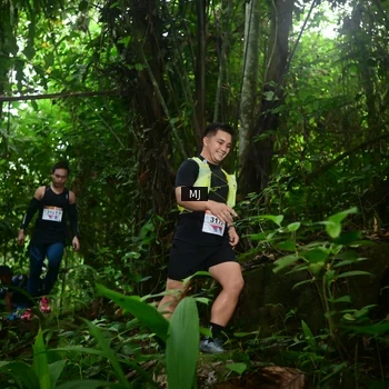 Runner Photo 8765951