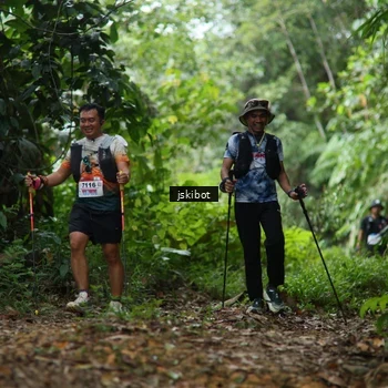 Runner Photo 8766207