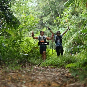 Runner Photo 8766220