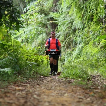 Runner Photo 8766363