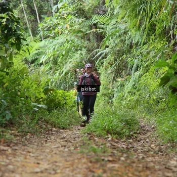 Runner Photo 8766899