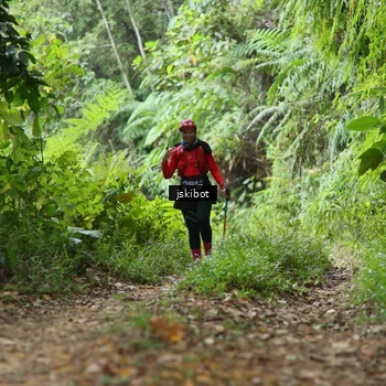 Runner Photo 8767131