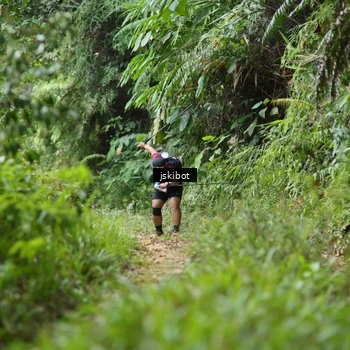 Runner Photo 8767157