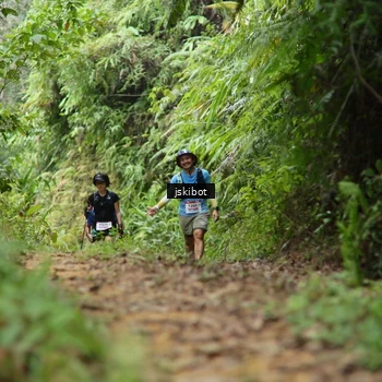 Runner Photo 8767466