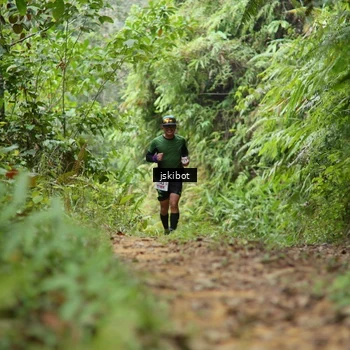 Runner Photo 8767687