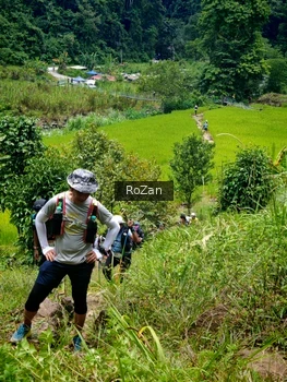 Runner Photo 87677