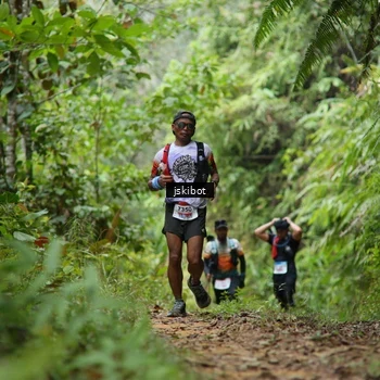 Runner Photo 8767800