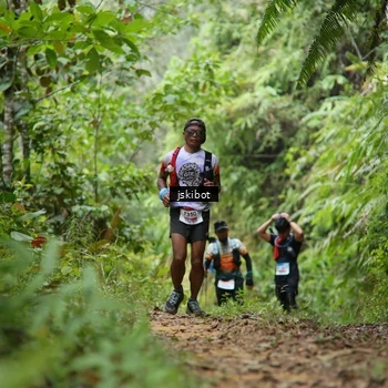 Runner Photo 8767807