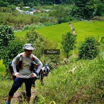 Runner Photo 87679