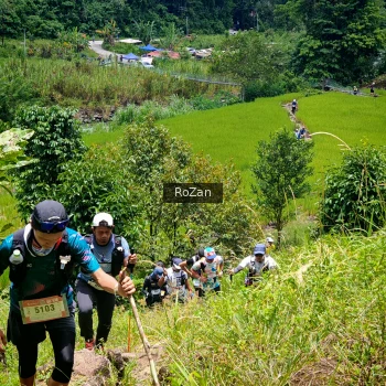 Runner Photo 87683