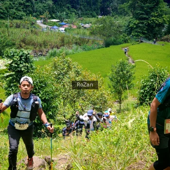 Runner Photo 87690