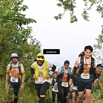 Runner Photo 8769847