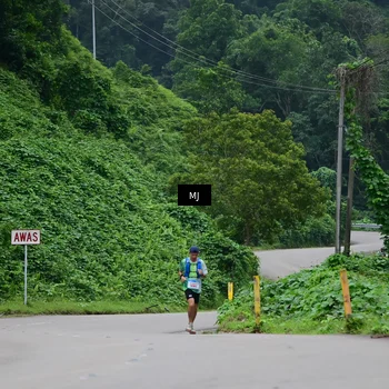 Runner Photo 8771314