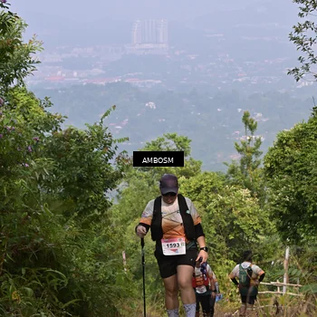 Runner Photo 8771373