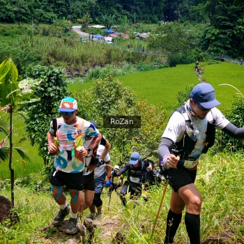 Runner Photo 87716