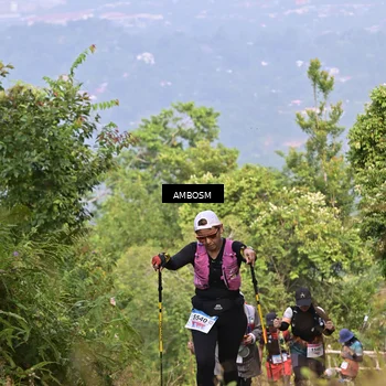 Runner Photo 8771769