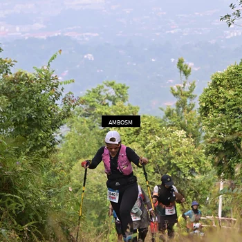 Runner Photo 8771800