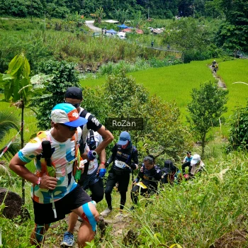 Runner Photo 87721