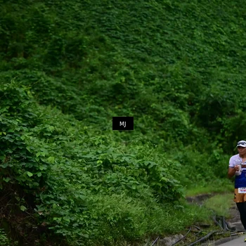 Runner Photo 8772241