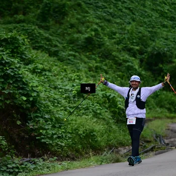 Runner Photo 8772390