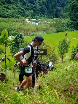 Runner Photo 87726