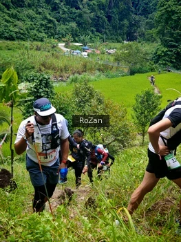 Runner Photo 87728