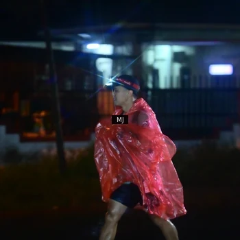 Runner Photo 8772972
