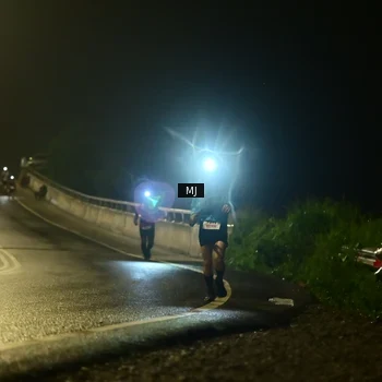 Runner Photo 8773189