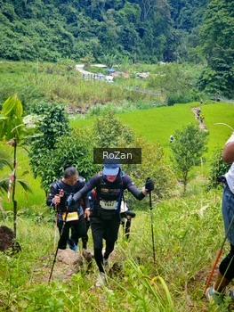 Runner Photo 87733