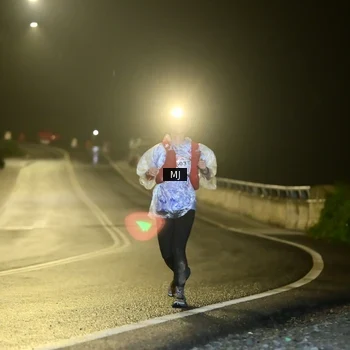 Runner Photo 8773478