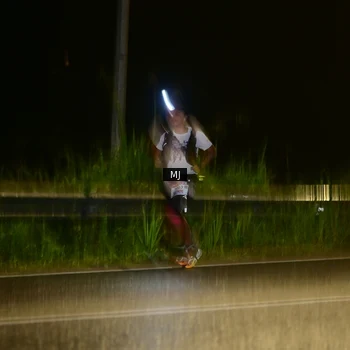 Runner Photo 8773611