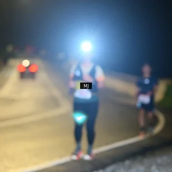 Runner Photo 8773830