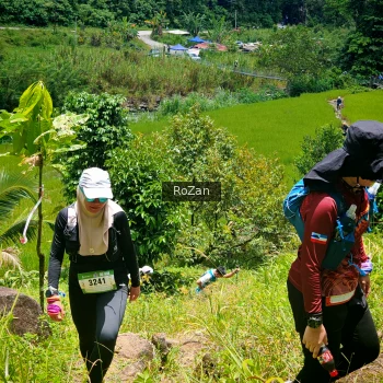 Runner Photo 87749