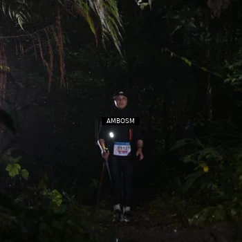 Runner Photo 8780942