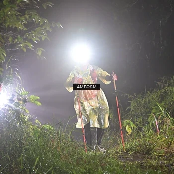 Runner Photo 8781111