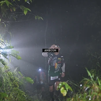 Runner Photo 8781286