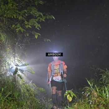 Runner Photo 8781294