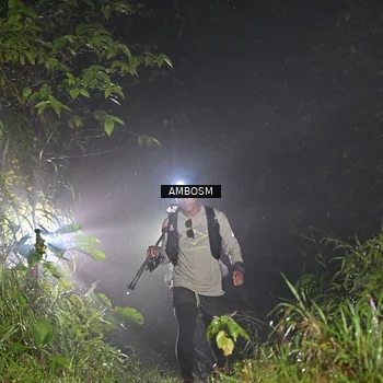 Runner Photo 8781303