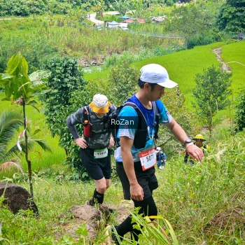 Runner Photo 87815