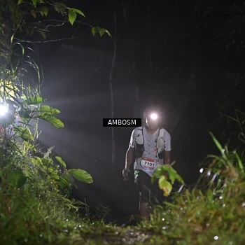 Runner Photo 8781539