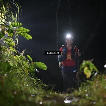 Runner Photo 8781689