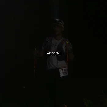Runner Photo 8781746
