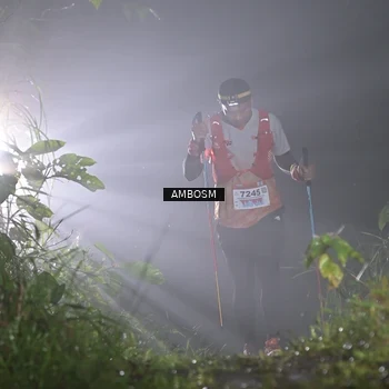 Runner Photo 8781760