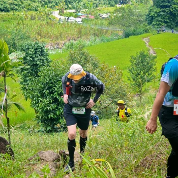 Runner Photo 87818