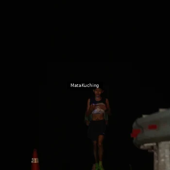 Runner Photo 8790862