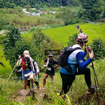 Runner Photo 87916