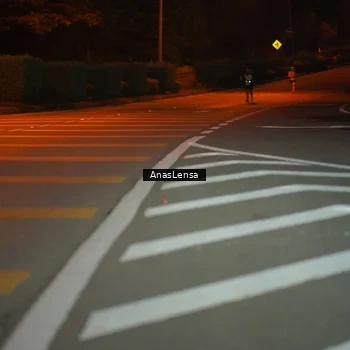 Runner Photo 8796925