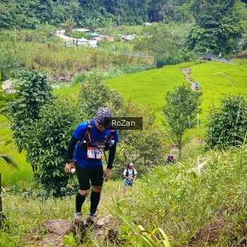 Runner Photo 87977