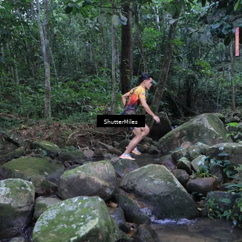 Runner Photo 8801254